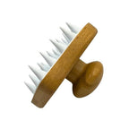 Hair and Scalp Massaging Brush